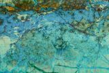 Polished Blue River Chrysocolla Slice - Arizona #167553-1